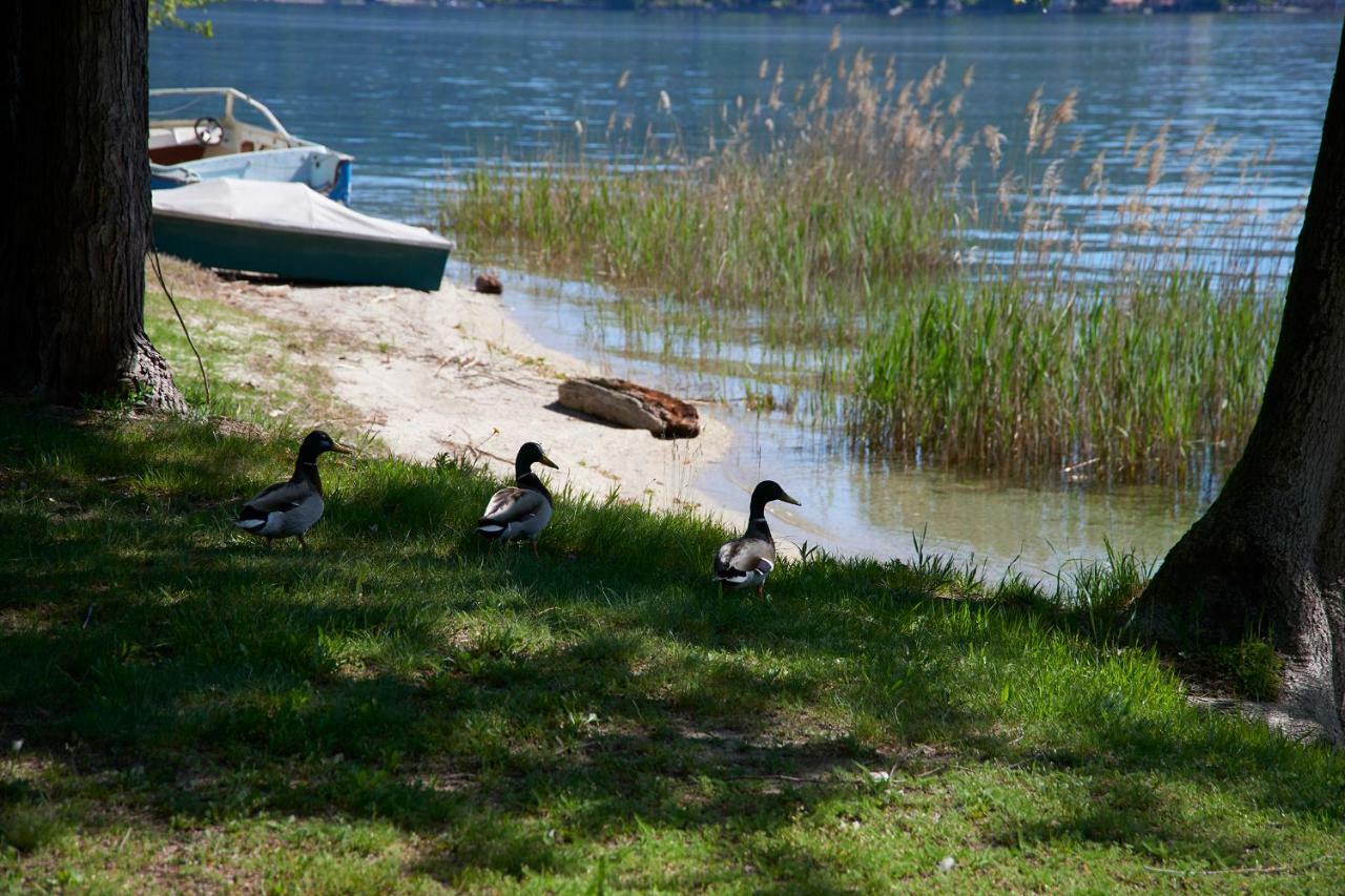 Emy Lake Orta Pella Zewnętrze zdjęcie
